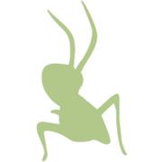 DLEGIS LABORAL SL en Valencia (Eixample) - Horario de apertura