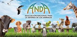 Asociación Nacional Para la Defensa de los Animales en Madrid (Centro) - Horario de apertura