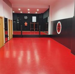 Horario de apertura TAOWS Academy Granada (Wing Chun, BJJ, Defensa Personal Infantil)., 
