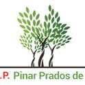 Horario de apertura CEIP Pinar Prados de Torrejón, Madrid