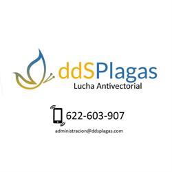 Horario de apertura DDS Plagas Valencia, 