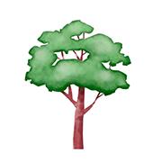 Horario de apertura Recordarium, el Bosque del Recuerdo, Méntrida