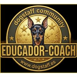 Horario de apertura Dogstaff, Santa Cruz de Tenerife