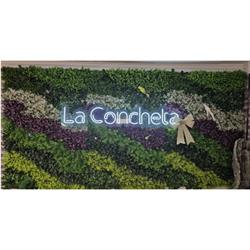 Horario de apertura Bar - Restaurante La Concheta, La Presa