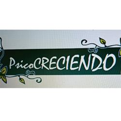 Horario de apertura Psicocreciendo, Elche