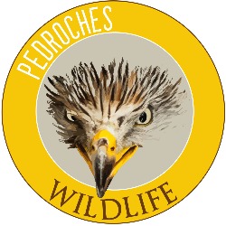 Horario de apertura PEDROCHES WILDLIFE, Pozoblanco