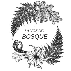Horario de apertura La voz del bosque, Figaró