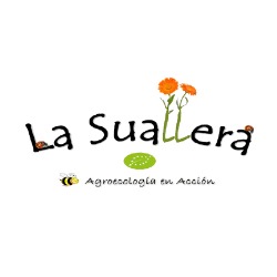 La Suallera en Santa Cruz de la Palma (Puntallana) - Horario de apertura