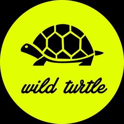 Horario de apertura wild turtle, Donostia-San Sebastián