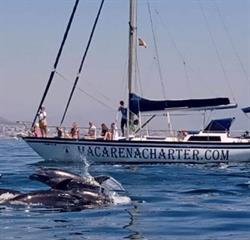 Horario de apertura Macarena Chárter, Fuengirola