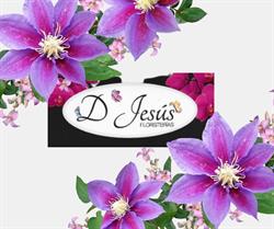Horario de apertura D'Jesús Floristería, La Cuesta