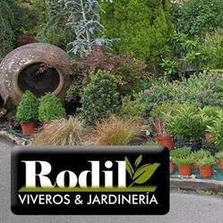 Horario de apertura Viveros y Jardinería Rodil, Arabuya