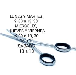 Horario de apertura Angélica Martín Peluqueria Unisex, Pedrajas de San Esteban
