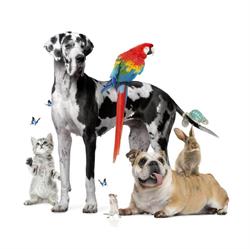 Horario de apertura Reino Animal Valdetorres, Valdetorres de Jarama