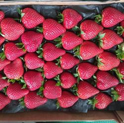 Horario de apertura Frutería Gamar, A Coruña