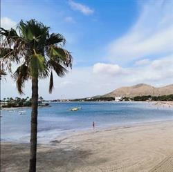 Horario de apertura Passeig Marítim d'Alcúdia, 