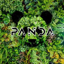 Horario de apertura Discoteca Panda Requena, 