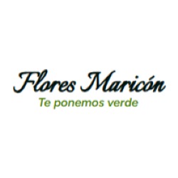 Horario de apertura Flores Maricón - Andrés Ramírez Soto, Madrid
