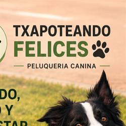 Horario de apertura Txapoteando Felices Peluquería canina y felina, Bilbao