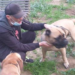 Horario de apertura Adiestra2 / Adiestrador Canino en Barcelona y alrededores,