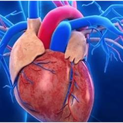 Horario de apertura Consulta Cardiovascular Dr. Juan Jose Feijoo Osorio Las Palmas - Madrid, Las Palmas de Gran Canaria