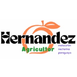 Hernandez Agricultor en Cieza (Murcia) - Horario de apertura