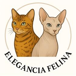 Horario de apertura Elegancia Felina, Cijuela