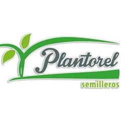Horario de apertura Semilleros Plantorel, Consuegra