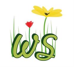 Horario de apertura Wonder School, Santiago de Compostela