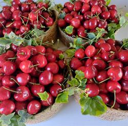 Horario de apertura Frutas Salgueiro, Dena