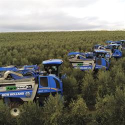 Horario de apertura Agroplantex Extremadura, Badajoz