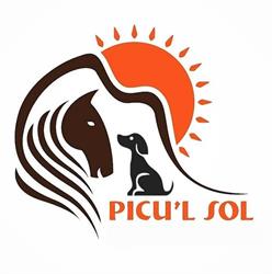 Horario de apertura Centro Ecuestre Picu'l Sol, Pupilaje Caballos semi-libertad., Gijón