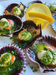 Horario de apertura Restaurante Pizzeria Mediterránea, Oropesa del Mar