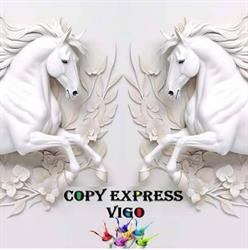 COPY EXPRESS VIGO (FOTOS DNI) (LIBRERIA) (ESTAMPADOS) en Vigo (Teis) - Horario de apertura