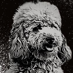 Artedog Peluquería Canina en Vigo (Teis) - Horario de apertura