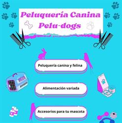 Horario de apertura Peluqueria Canina en Las Palmas - PeluDogs, Las Palmas de Gran Canaria