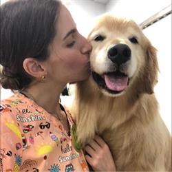 Horario de apertura Claudia Pulido peluquera canina y felina, Las Palmas de Gran Canaria