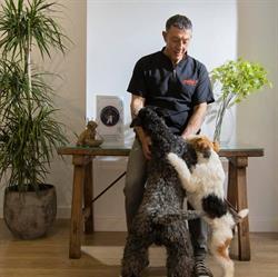 Horario de apertura Avilitas Estilismo Canino, Almendralejo