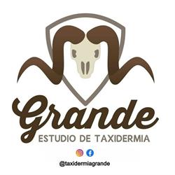 Horario de apertura Taxidermia Grande, Carbajo