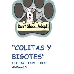 Horario de apertura Colitas Y Bigotes 2 Cehegin, 