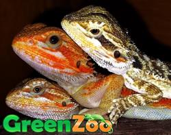 Horario de apertura Tienda Animal Greenzoo, Jerez de la Frontera