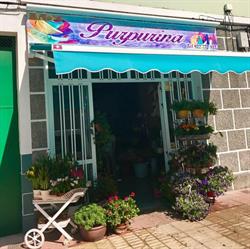 Horario de apertura Floristería Purpurina, Granadilla de Abona