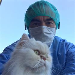 Horario de apertura Clínica Veterinaria Miengo, 