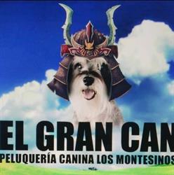 Horario de apertura El Gran Can, Los Montesinos