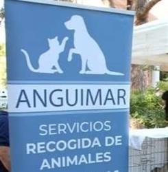 Horario de apertura Anguimar Servicios S.L, Los Infiernos