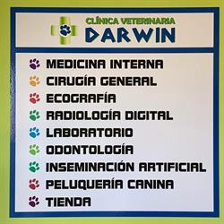 Horario de apertura Clínica veterinaria Darwin, Atarfe
