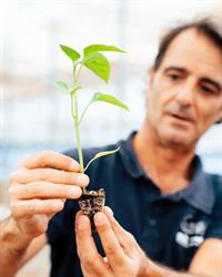 Horario de apertura DAKADY GREENHOUSE SOLUTIONS S.L, La Mojonera