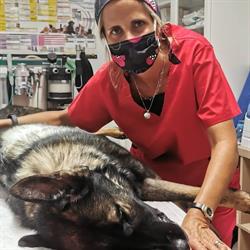Centro Veterinario Mi Vet Maritina en Córdoba (Norte-Sierra) - Horario de apertura