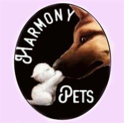 Horario de apertura Harmony Pets, Puntagorda