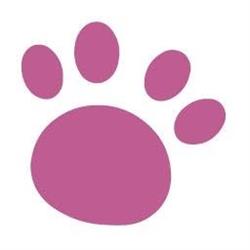 Horario de apertura Peluquería canina De Pelo a Pata, Burgos